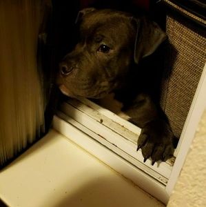 Meet your Posher, Marcus